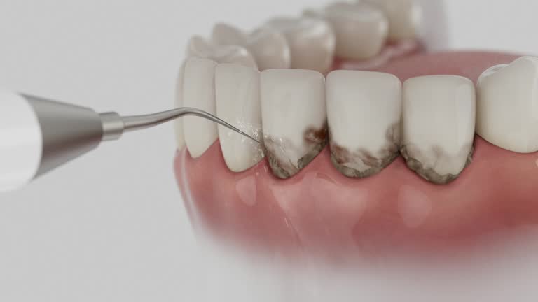 Reliable Dental contractor in Oak Grove, VA by Dentist Open Now